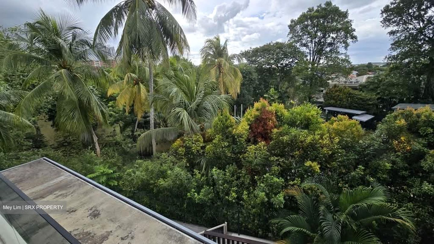 Holland Road (D10), Detached #568091751